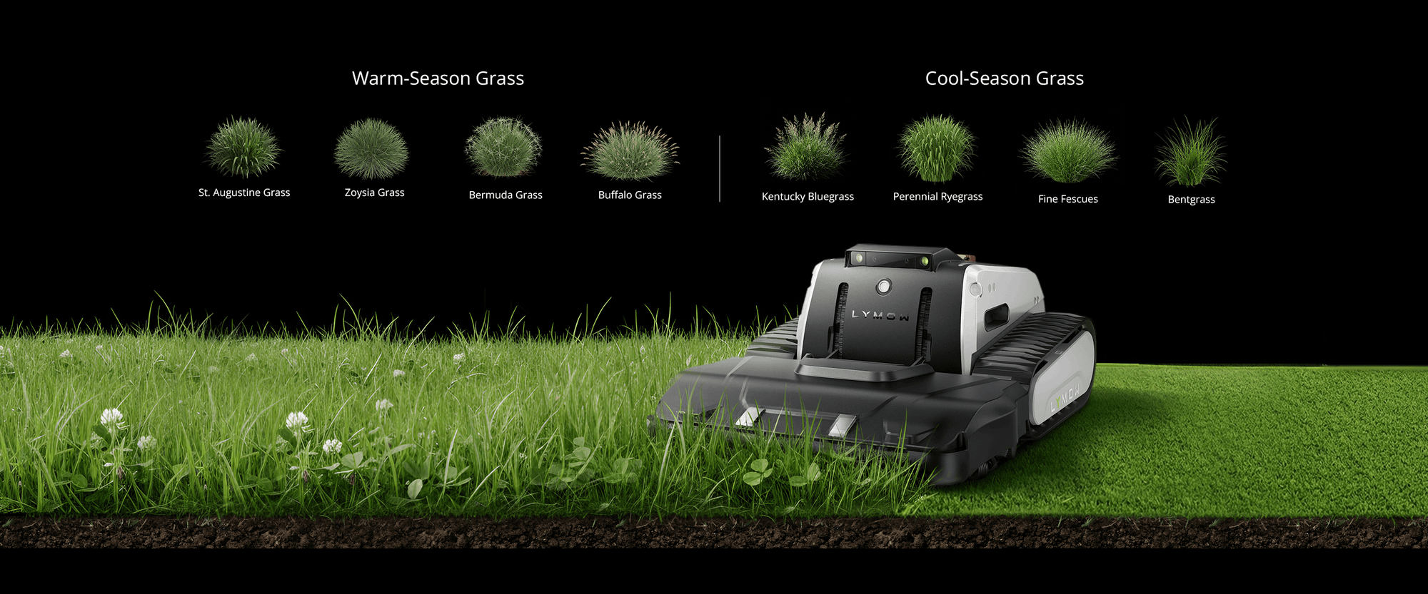 Cool-season and warm-season grass types